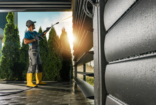 Best Patio and Deck Pressure Washing  in Almont, MI